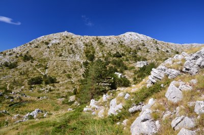 Vosac